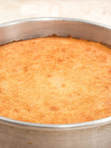 A flat, baked layer of cake in the pan.