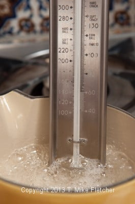 Thermometer in pan