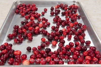 Cranberries on tray