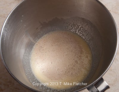 Yeast added to liquid in mixing bowl