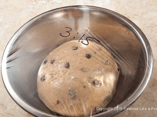 Dough covered and marked for Hot Cross Buns