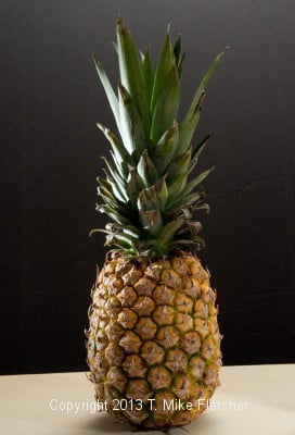 Pineapple - you can see the "kicker" light on the left side