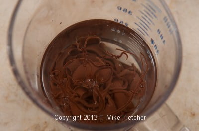 Chocolate in water