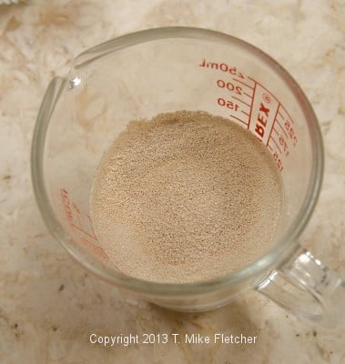 Yeast in water