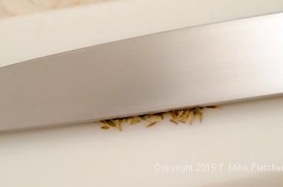 Knife covering fennel seed