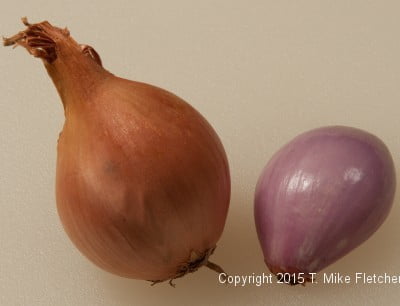 Peeled and unpeeled shallots for Seafood Crepes