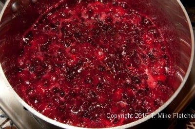 beginning-to-boil-for-cranberry-fresh-pineapple-relish.jpeg