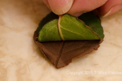 Pulling the leaf off the chocolate leaf for Buche de Noel