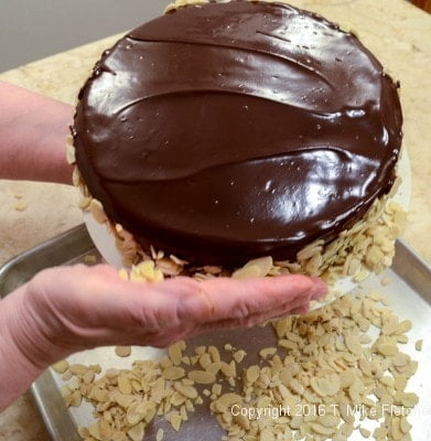 Patting almonds on the sides for the Boston Cream Pie