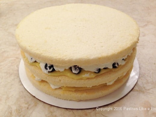 assembled-cake--for-lemon-blueberry-cake.jpeg