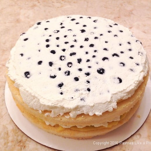 second-layer-finished--for-lemon-blueberry-cake.jpeg