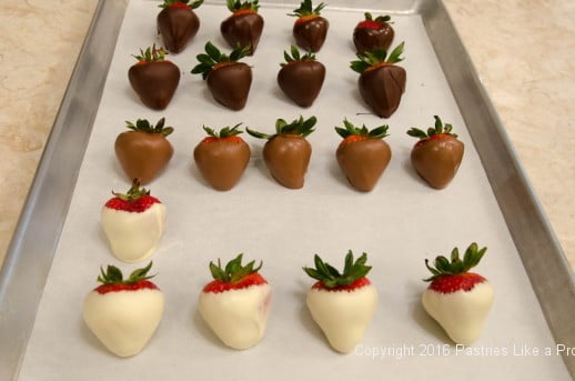 Dipped strawberries for the Chocolate Strawberry Ruffle Cake