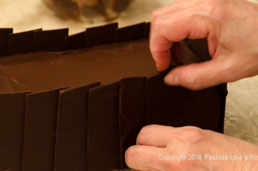 Placing chocolate panels on Chocolate Raspberry Gateau