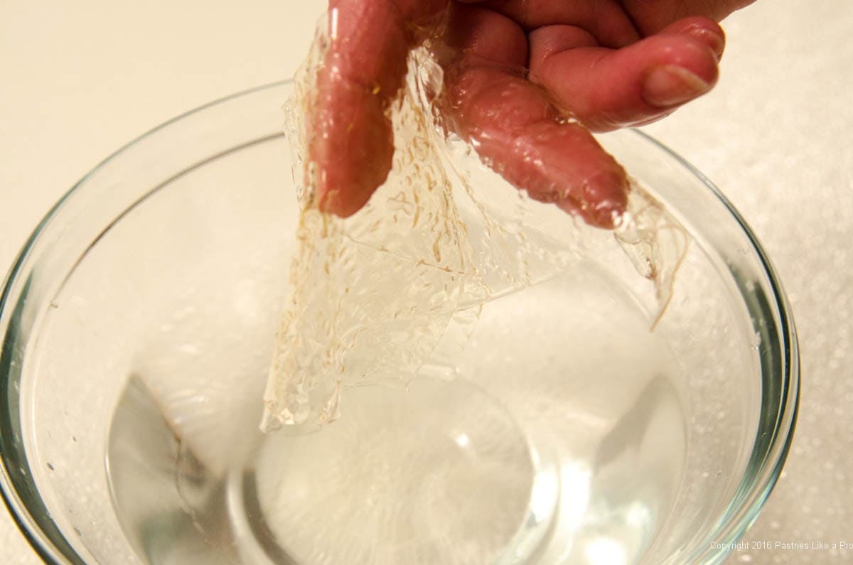 Understanding Gelatin Pastries Like a Pro