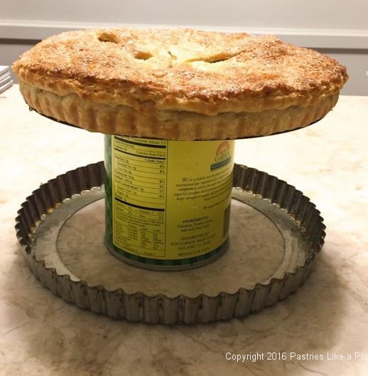 Side of tart pan down for the Honey Thyme Apple Tart