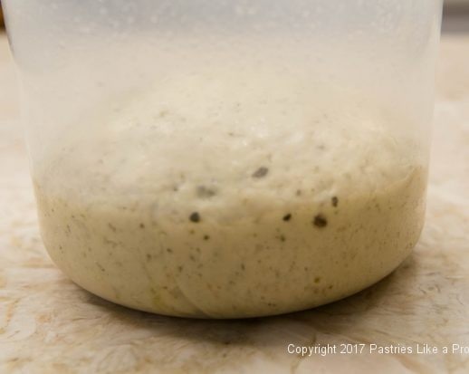 Dough risen in container for Garlic Oregano Cracker Bread