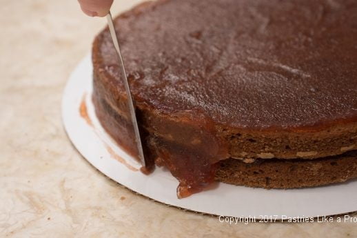 Raspberries on sides of cake for the Chocolate Raspberry Marizian Gateau