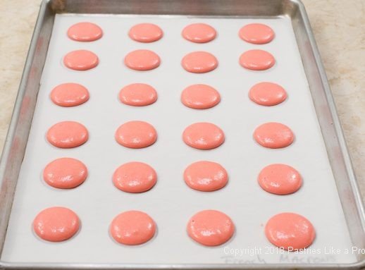 Tray of piped macarons for French Macarons