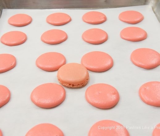 Baked and unbaked French Macaron on tray