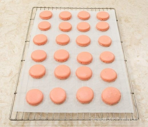 French Macarons cooling on parchment
