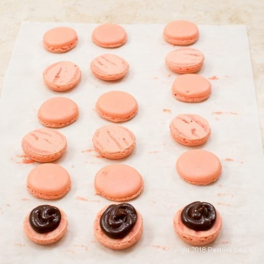 Filling and pairing French Macarons