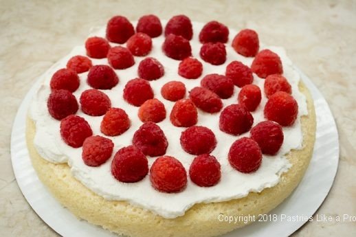 First layer with raspberries for Raspberries and Cream Cake