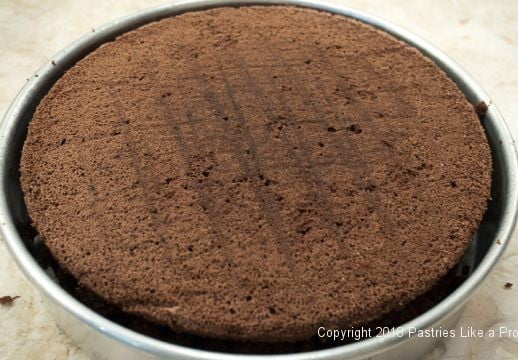 Top layer on cake for Viennese Chocolate Punchtorte