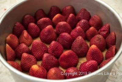 Strawberries place in pan for Vanilla Mousse Torte with Strawberries