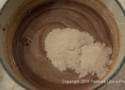 Yeast added to liquid