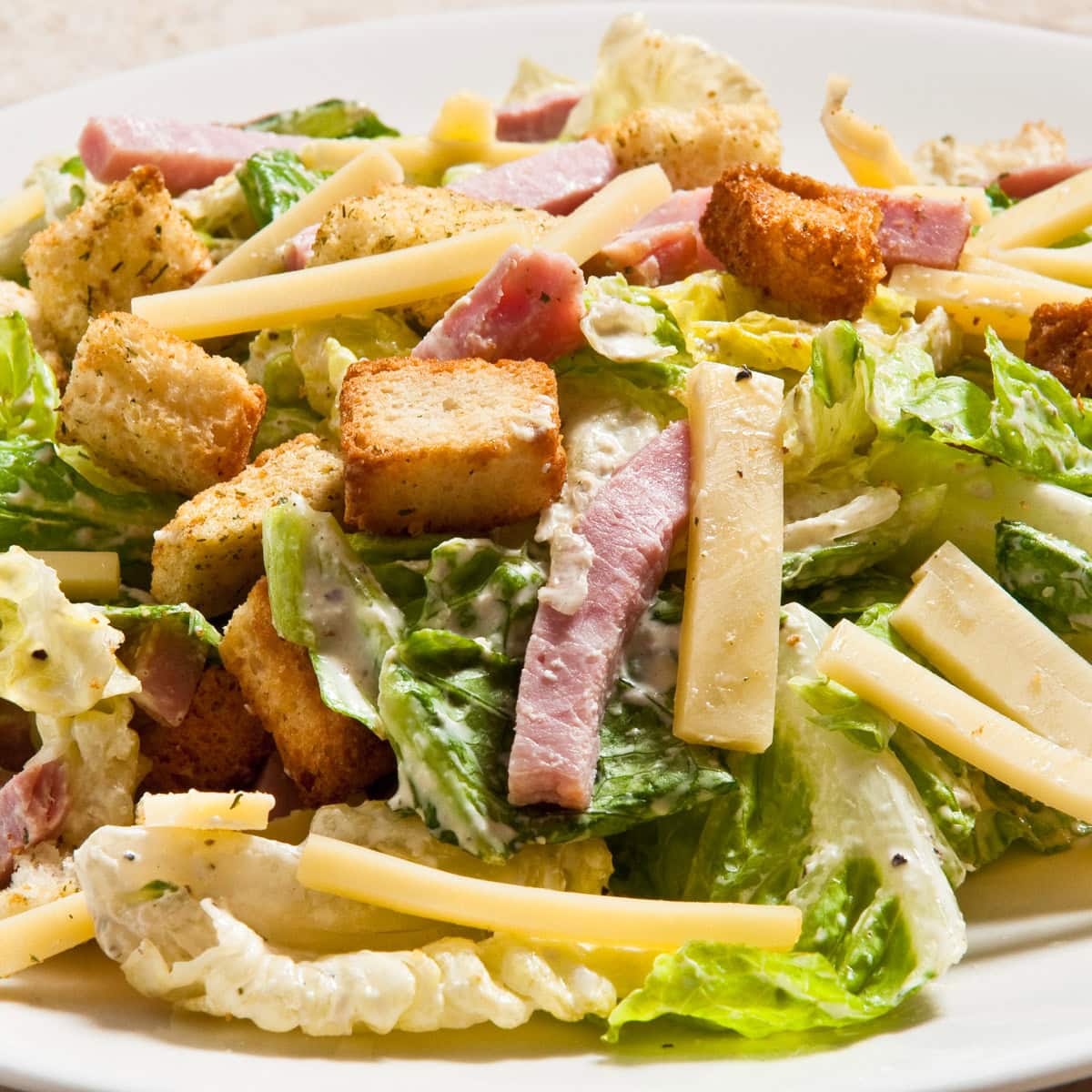 This Mayfair Salad Dressing features, lettuce, swiss cheese and ham strips, croutons and Mayfair dressing. 