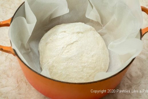 Dough in Dutch oven