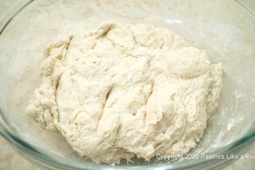 No-Knead Bread mixed in bowl