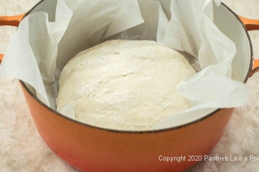 No-Knead Bread risen in Dutch oven