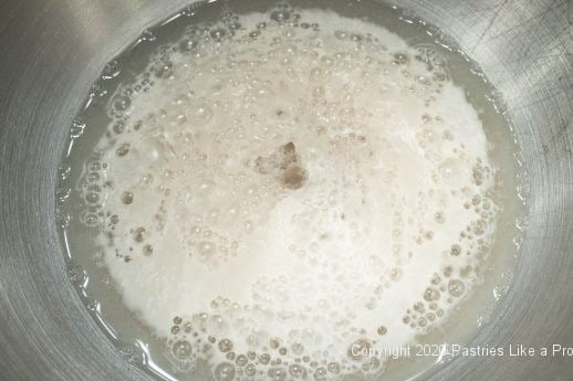 Bubbly yeast