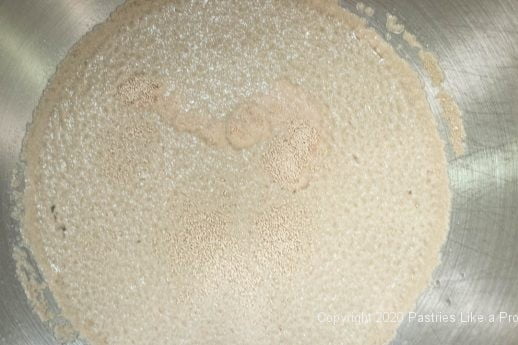 Yeast added to water
