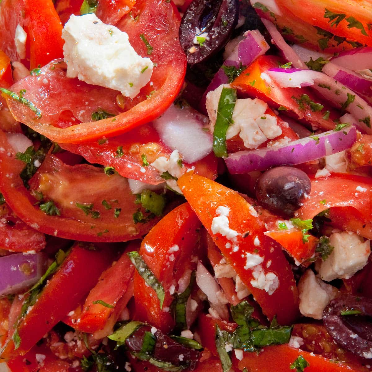 Greek Tomato Salad with tomatoes, feta, basil, red onion, calamata olives