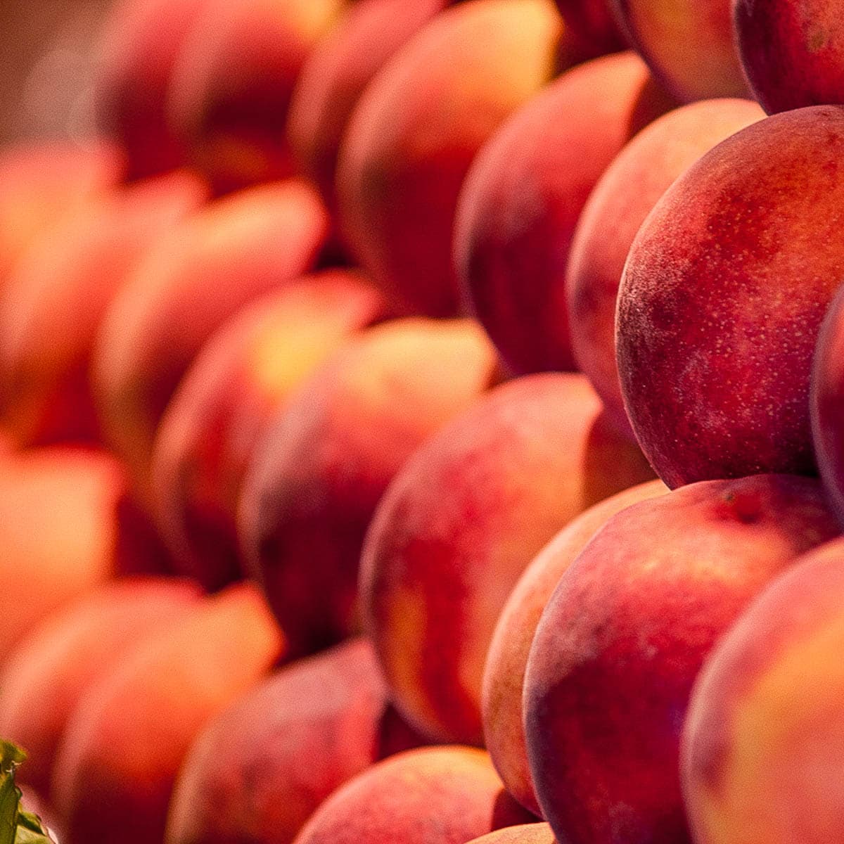 Photo of Peaches in rows at a market