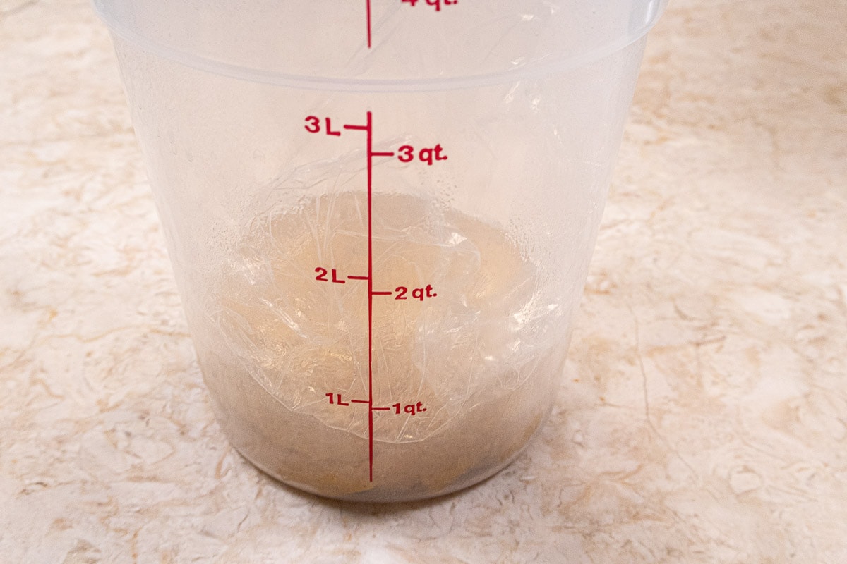 The Pumpkin Dinner Roll dough in placed in an oiled container to rise.  It is covered with plastic wrap and a lid.