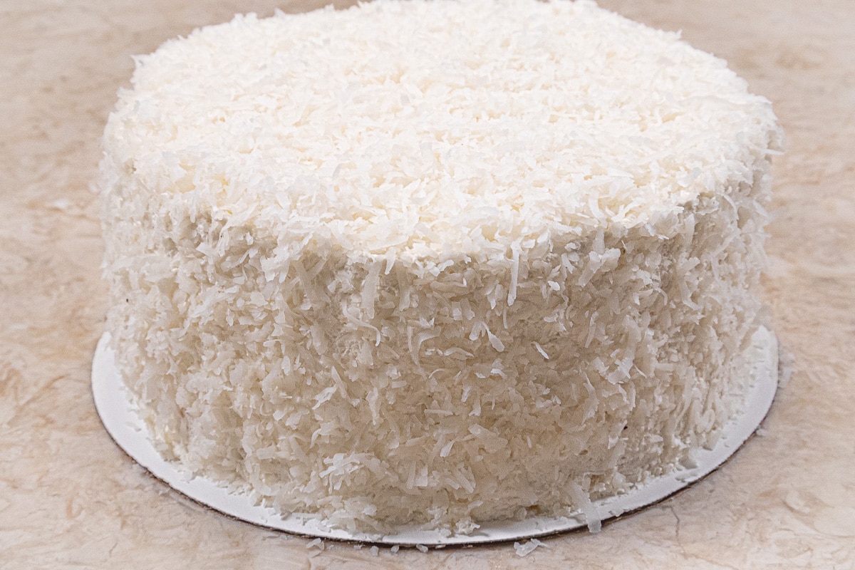 The top of the cake is covered with coconut.