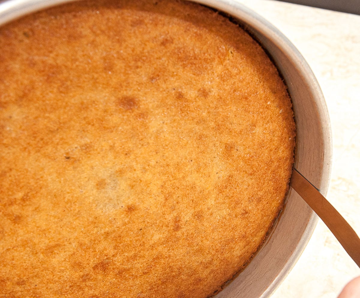 The spatula is placed between the edge of the pan and the edge of the cake.