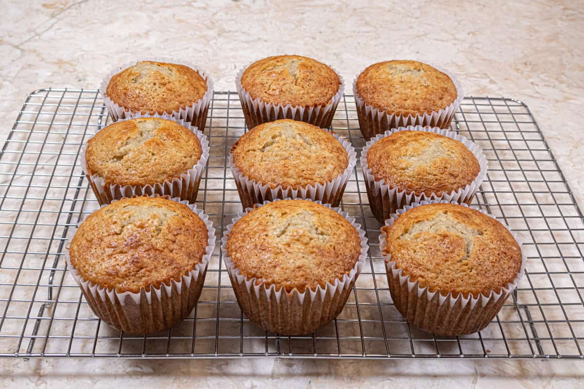 Nine Jumbo muffins sit on a cooling rack,