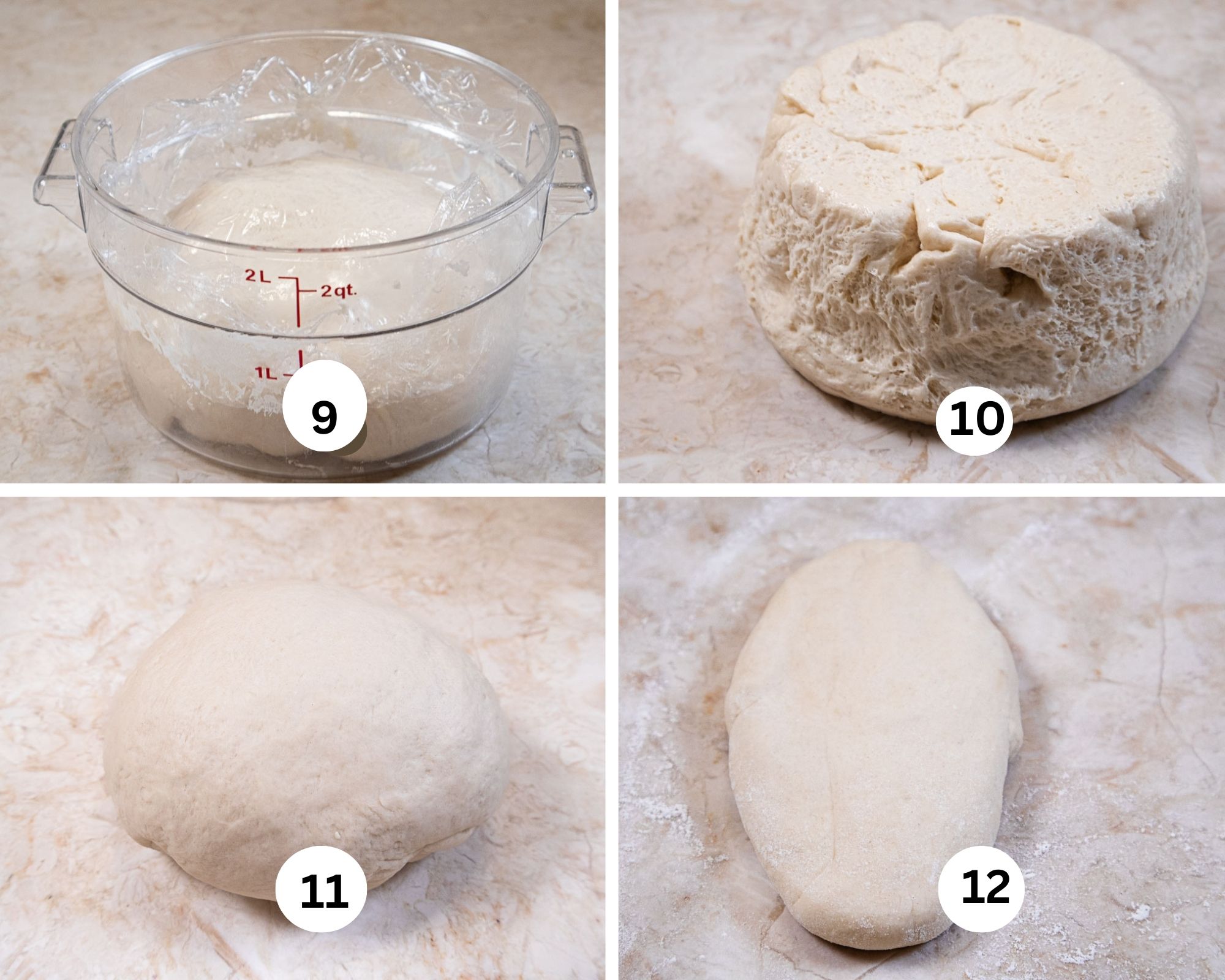 This collages shows the dough deflated, thurned out of the container, shaped into a ball and last shaped into an oval.