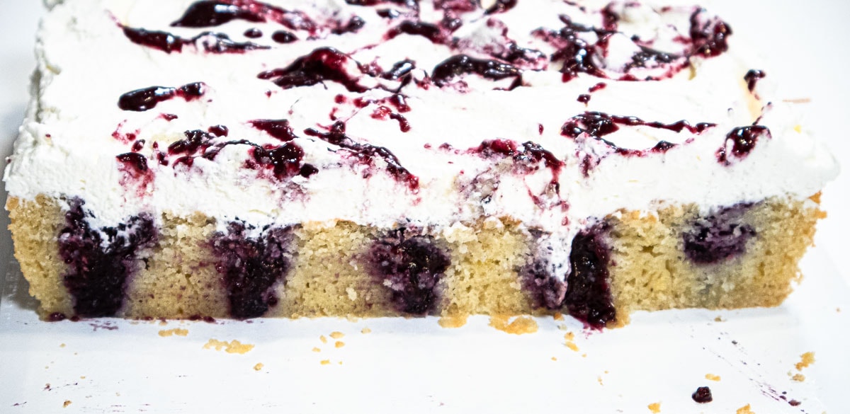 This photo shows the cake cut with the holes filled with the blueberry puree surrounded with the lemon cake.