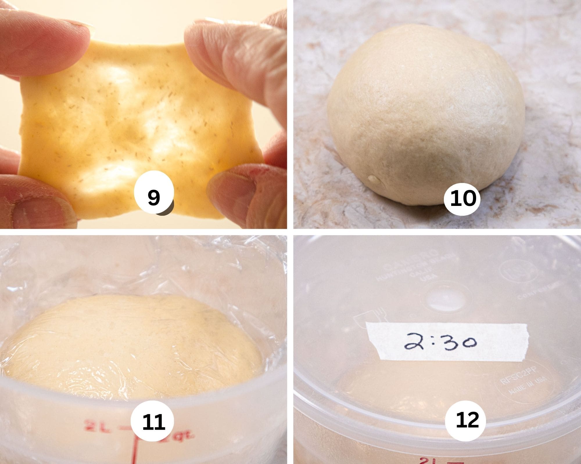 This collages shows the bread out of the mixer in a smooth ball, the window pane test for stretchability, the dough stored in a container and the container marked with the time.