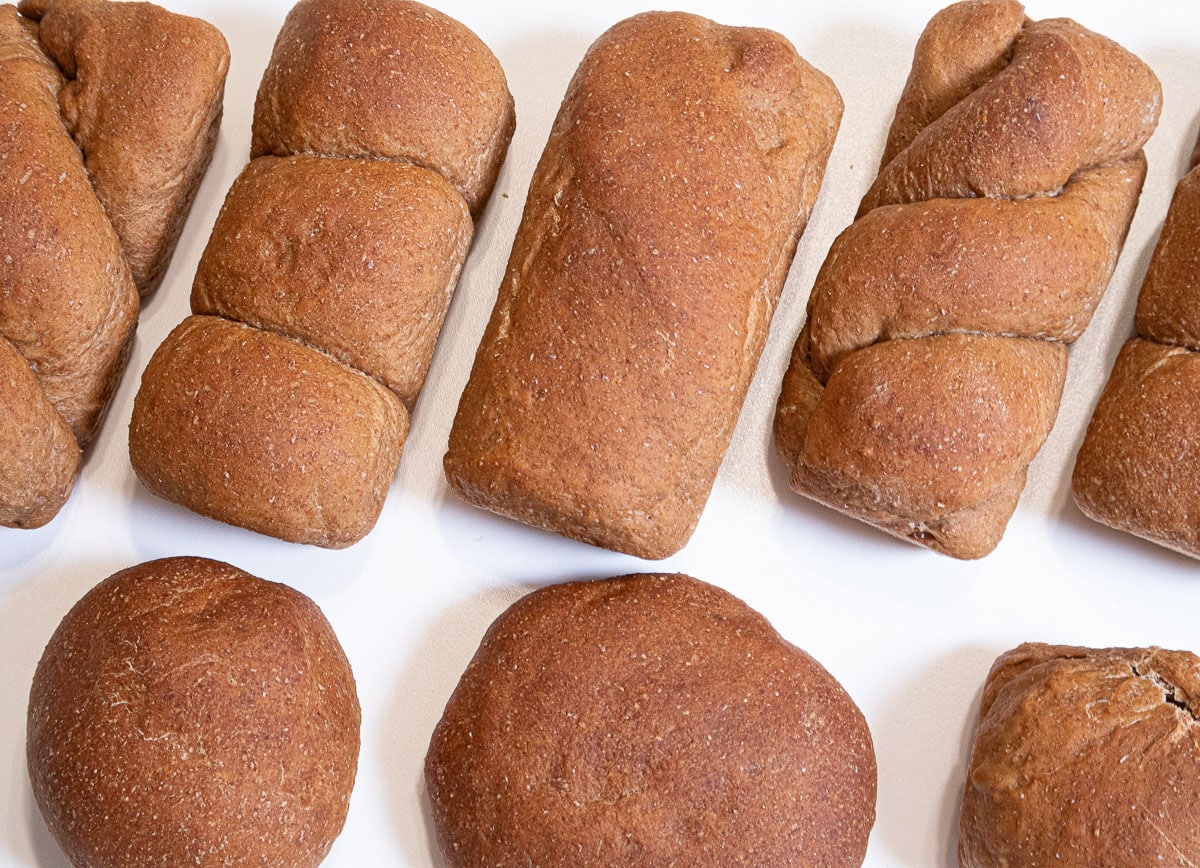 Another photo of the finished breads including the twisted, plain, 3 roll, a dinner roll and a bun,