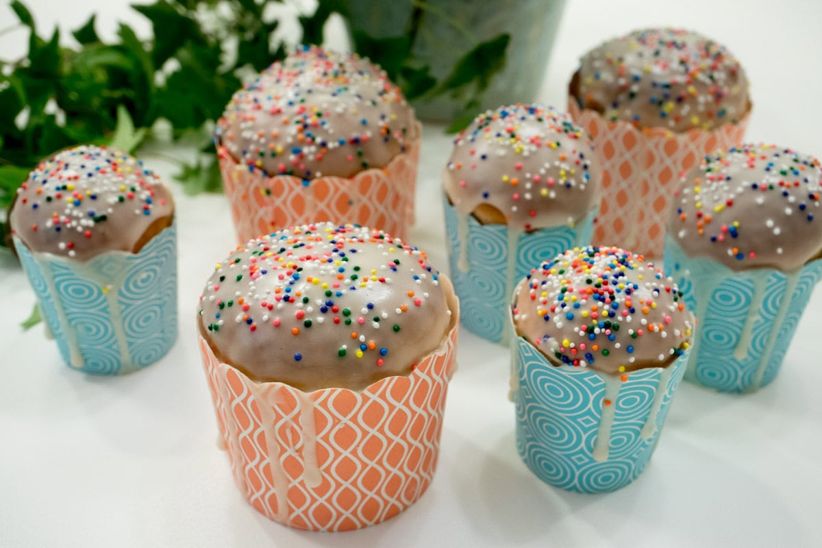 Small rolls in colorful bake-proof paper containers in front of a green plant.
