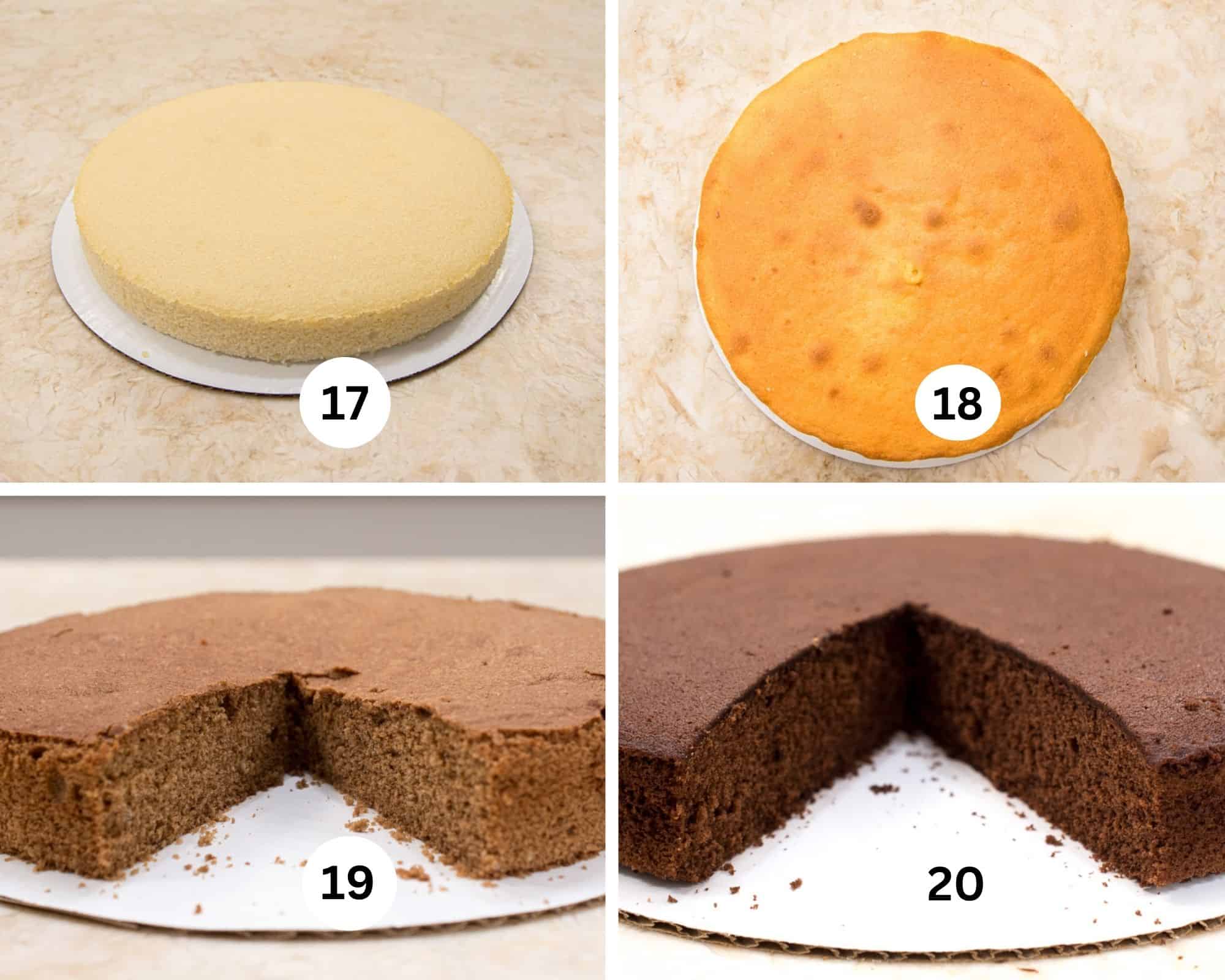 The last collage shows the white, yellow, chocolate and cocoa layers. 