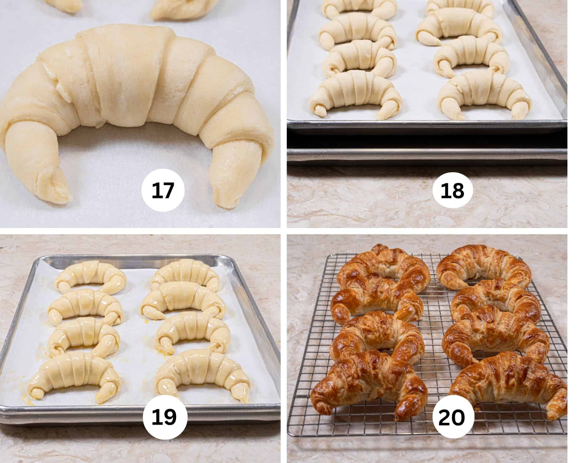 This last collage shows the croissant risen, double panned, egg washed, and baked.